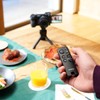 Sony RMT-VP2 Bluetooth Wireless Remote Commander with 360 Degree Coverage
