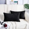 BRAWARM Chenille Throw Pillow Covers 12x20 Inches - Pack of