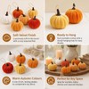 12 PCS Mini Pumpkins Decorations, Autumn Hanging Ornaments, Knitted Pumpkin