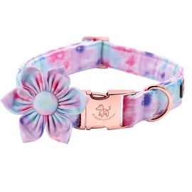 Elegant little tail Colorful Dog Collar for Female or Male Dogs, Flower Pet Collar Adjustable Dog Collars Gift for X-Small Dogs and Cats