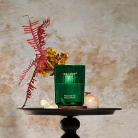 Jar Candles for Home Scented, Aromatherapy Candles Gifts for Women & Men, Natural Soy Candle, 8.4oz Traditional Style, Wild Mint & Eucalyptus