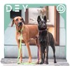 DEY - Premium Nylon Dog Collar, Reflective, Adjustable, for Small