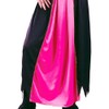 Fun World Witch Costume, Small 4-6, Multicolor