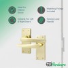 EAI Polished Brass Door Handles | 1 Pair Internal Latch