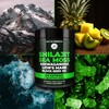 Organic Shilajit Gummies with Sea Moss Gummies - Shilajit Supplement