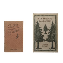 Creative Co-Op MDF & Canvas Book Storage Boxes, Set of 2 New England Landscapes