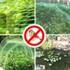 Garden Netting for Plants Fruit Veg Patch Grass Seeds, Anti