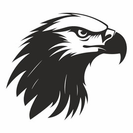 AMA SHOP Pre-Spaced Eagle Sticker Mod.12 Black | Sticker for Helmet, Motorcycle, Camper, Boat | Car Tuning