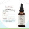 HerbEra Beetroot B120 Alcohol-Free Herbal Extract Tincture, Concentrated Liquid Drops