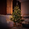 Emos Xmas classic light chains.