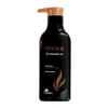 Minoxel Scalp Intensive Shampoo 400ml x 1 / 마이녹셀 스칼프 인텐시브 샴푸 400ml 1개