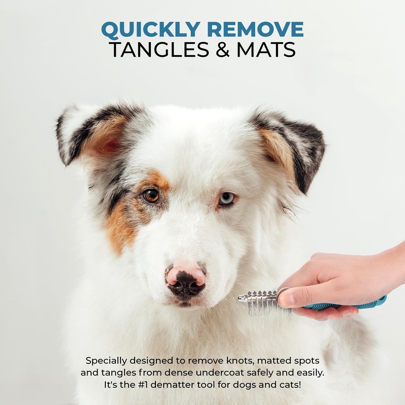Poodle Pet Dematting Comb + Detangling Comb Blue Bundle