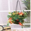 Jute Hanging Basket Liner - Green (12-Inch x 1) Sold
