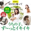 MSM Joint Supplement for Dogs (Glossy, Bone Lifting, 1.1 oz