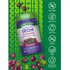 Nature's Truth Iron Gummies | 60 Count | Vegan, Non-GMO
