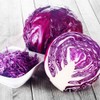 Eden Brothers Cabbage Seeds - Red Acre