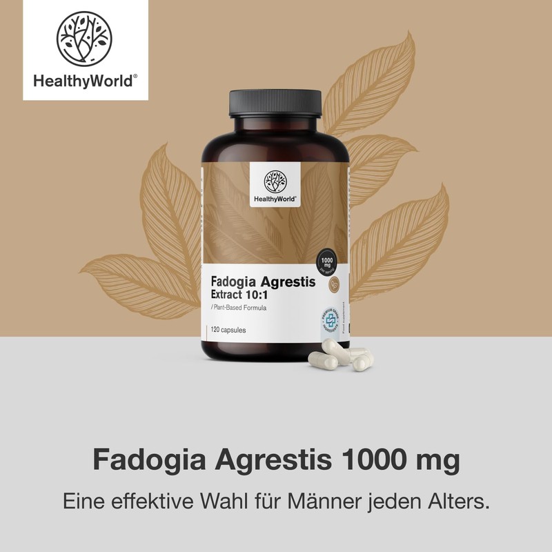 HealthyWorld® Fadogia Agrestis - 120 Capsules - For Men -