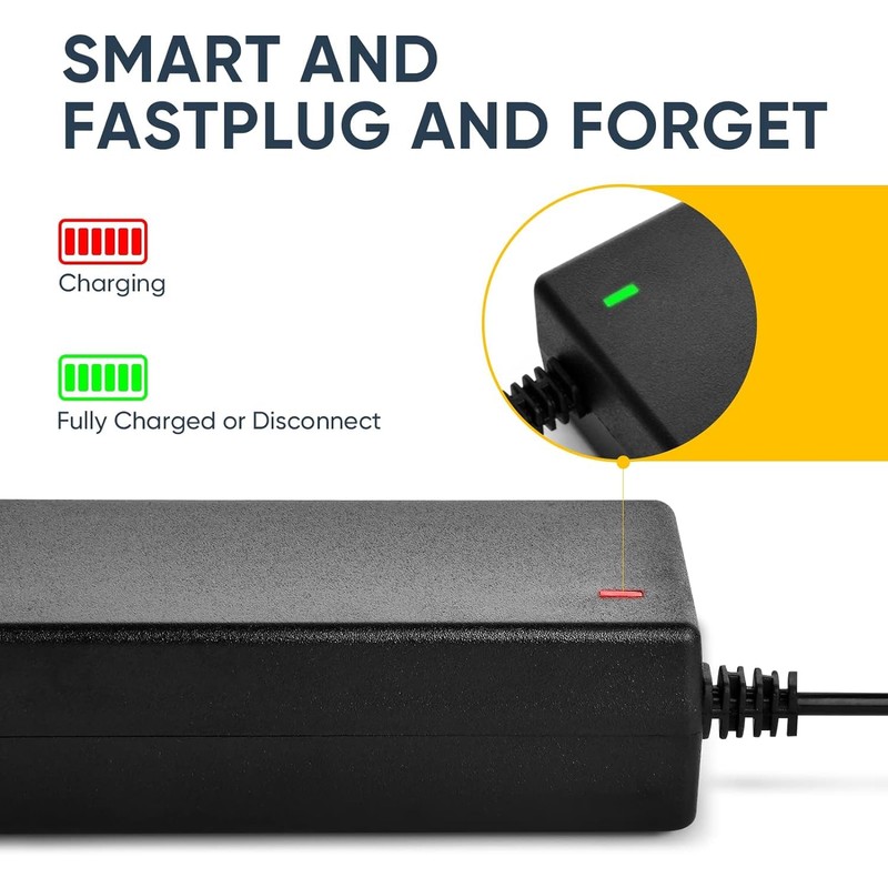 24V 2A Scooter Charger, Suitable for Go Go Elite Traveler,