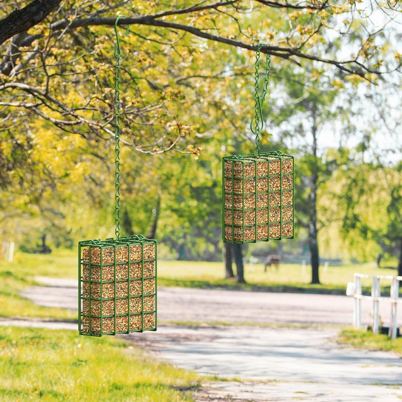 Bird Feeder for Outdoors, Suet Feeder for Outside Hanging Suet