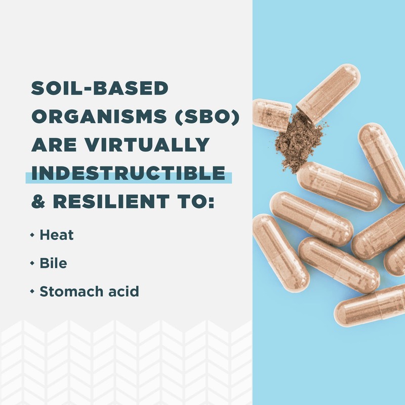 Ancient Nutrition Probiotics for Immune Support, SBO Once Daily Probiotics