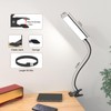LINTYLE Clip on Desk Lamp, 5W LED Reading Light, 400