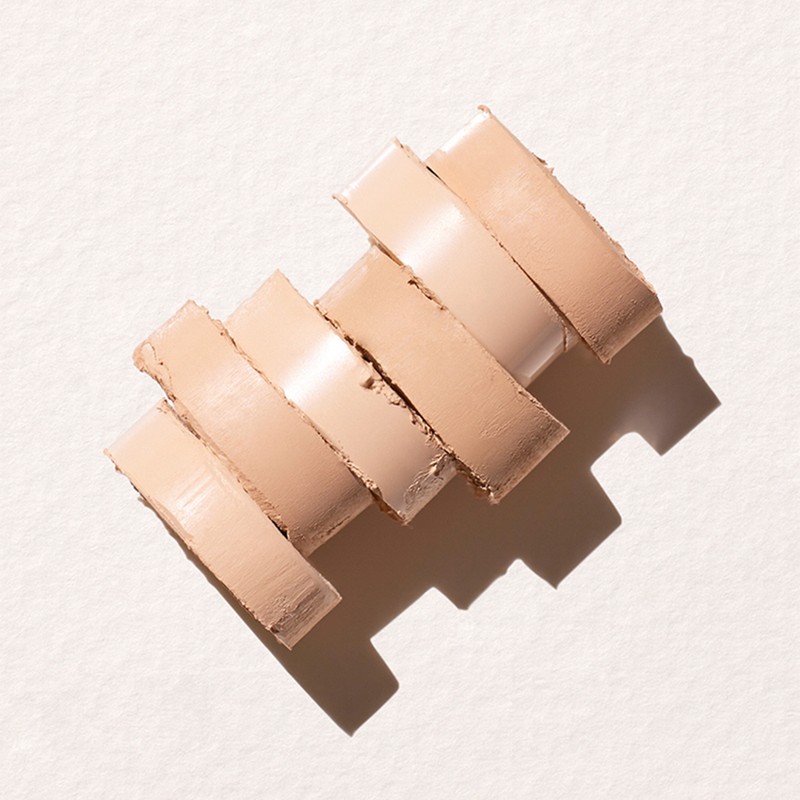 The Face Shop fmgt Ink Lasting Stick Foundation 15g