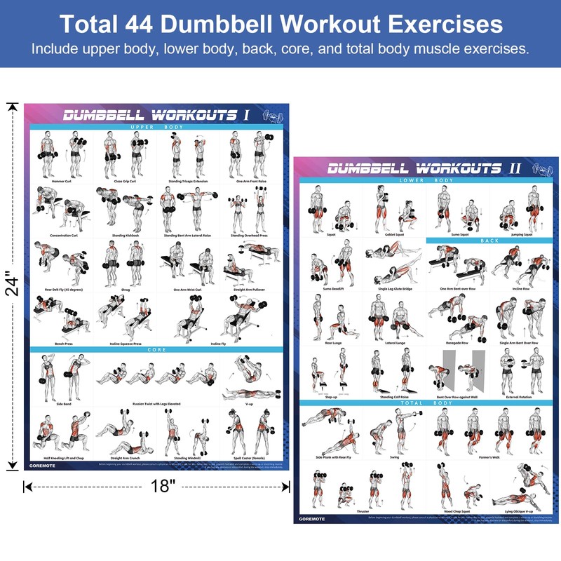Dumbbell Workout Poster Set (2 Pack) - Workout Posters for