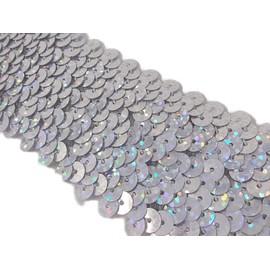 Kirari Handicraft Part No. 1184 Sequin Blade for Handicrafts (with Glitter), Silver (Silver), Width 1.6 inches (4 cm) x 6.6 ft (2 m) Roll Sequin, Sequin