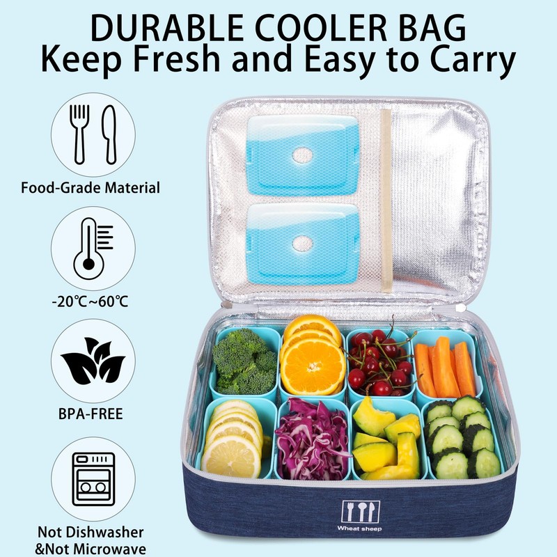 WETRBWEH Snack Box Container with Insulated Cooler Bag, Divided Serving