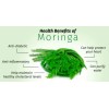 LIFE NUTRITION Body detox - MORINGA OLEIFERA - Hydration support