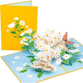 PopLife Daisy Flowers Pop Up Mother's Day Card - 3D Anniversary, Pop Up Birthday Card, Thank You, Congratulations, Valentine's - for Mom, for Daughter, for Wife, for Grandma, for Stepmom