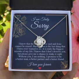 Larvincy I Love You Im Sorry Gifts For Her, Apology Gifts For Her - Wife, Girlfriend, Soulmate - Forgive Me Necklace With Love And Remorse Message In A Stunning Box