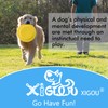 XIGOU Dog Flying Disc - Durable Rubber Flying Disc Dog