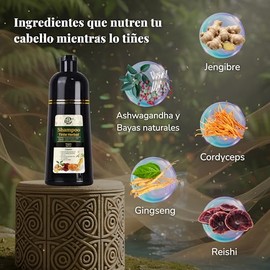 Shampoo Cubre Canas Mujer y Hombre Color Brillante  Fuerza  Cuidado  Uso en Casa 500 ml Fórmula Herbal Ginseng, Reishi, Cordyceps, Jengibre (Negro)   