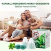 Mouse Repellent for Indoor and Outdoor, 24 Pack Peppermint Mice
