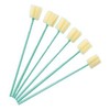 JM Sponge Brush 10 Pieces
