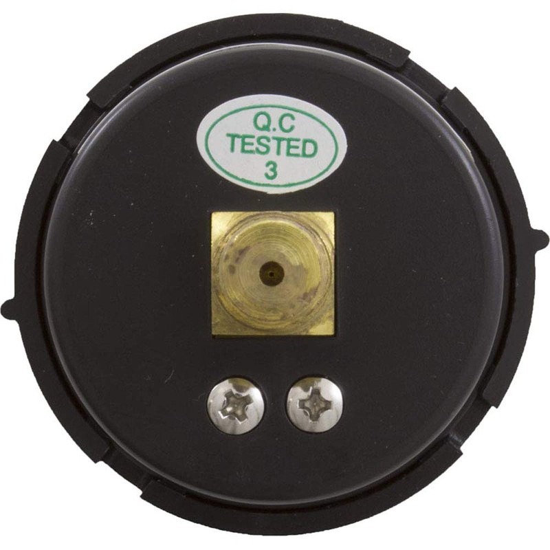 Pentair 190059 Rear Mount Pressure Gauge Replacement Pool/Spa Valve and