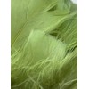 Olive Green Feathers, 100 Pack