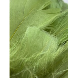 Olive Green Feathers, 100 Pack