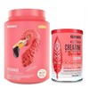 Birdman Kit Protein Fitmingo 1.02kgcreatina Watermelon 300g