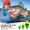 THKFISH Pack of 10 Floats Fishing Set, Weighted Float Fishing,
