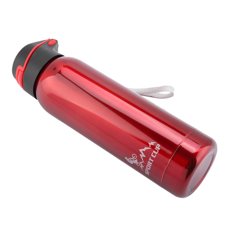 500ml Stainless Steel Bottle Vacuum Insulated Straw Cup Mug Sport