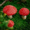 3Pcs Mushrooms Mini Miniature Figurines Garden Mushrooms Model Statue Ornaments