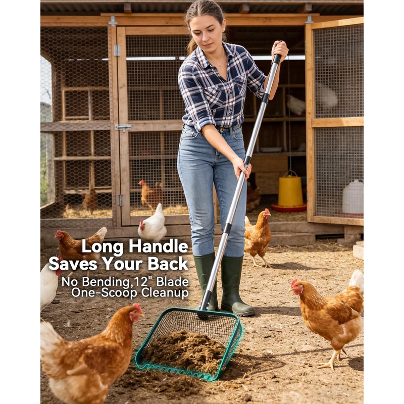 Tongjing 12" Chicken Poop Scooper, Stainless Steel Handle (36–62")