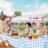 3 Pcs Light Blue Gingham Tablecloth Blue Disposable Plastic Checkered