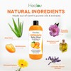 Healov Persimmon Body Wash for Body Odor Control – Purifying