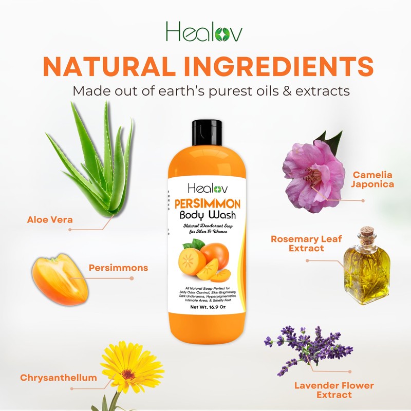 Healov Persimmon Body Wash for Body Odor Control – Purifying
