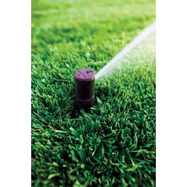 Rain Bird CP5000NP Purple Top Non-Potable Water Simple Adjust Gear Drive Rotor, Adjustable 40° - 360° Pattern, 26' - 38' Spray Distance