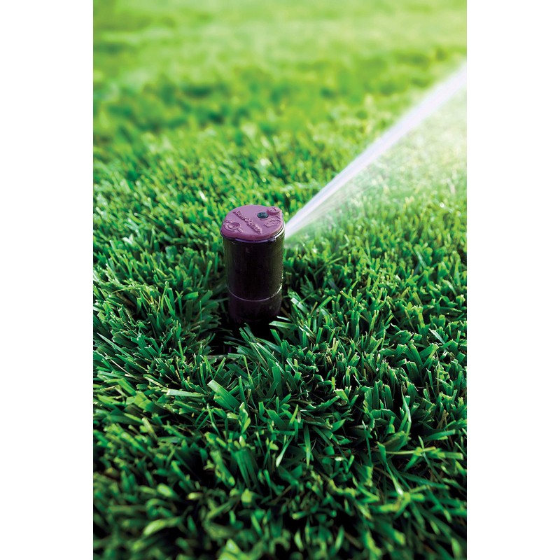 Rain Bird CP5000NP Purple Top Non-Potable Water Simple Adjust Gear