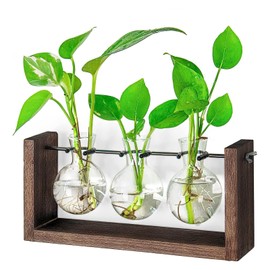 Propagation Station, Plants Terrarium, Plants Lover Gifts for Women,Plant Cutting Holder Home décor,Gifts for Women,House Warming New Home-3 Bulbs-Mounted